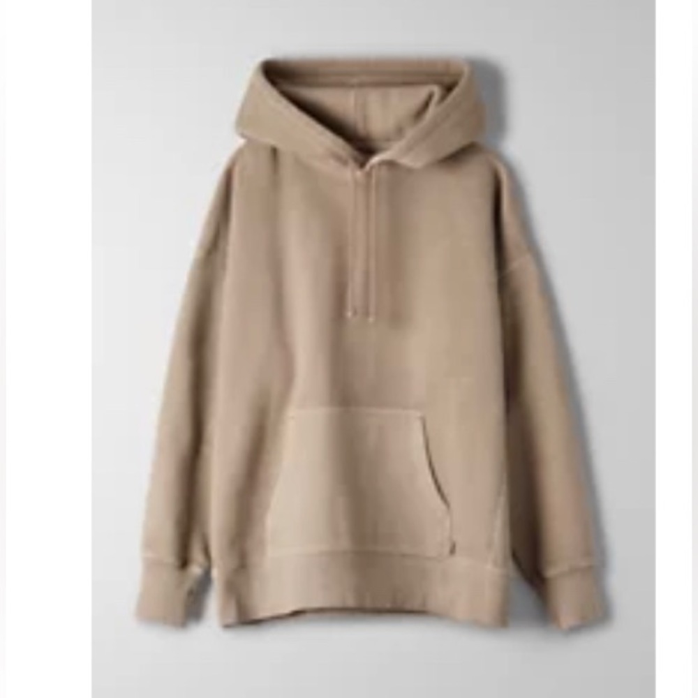 aritzia Tna cozy fleece boyfriend hoodie